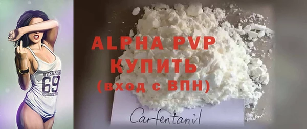 mdpv Вяземский