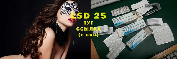 шишки Вязники
