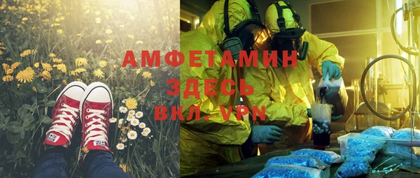 шишки Вязники