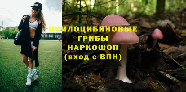 прущие крисы Вязьма