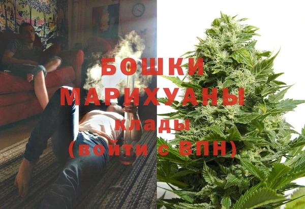 шишки Вязники