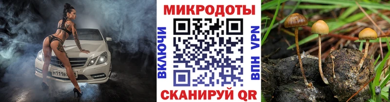 Галлюциногенные грибы ЛСД  Купить где  Мелеуз 